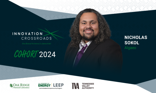 Nicholas Sokol, Innovation Crossroads Cohort 2024, with the Algaeo logo displayed. The graphic features the Innovation Crossroads logo, Oak Ridge National Laboratory, U.S. Department of Energy LEEP (Lab-Embedded Entrepreneurship Program), and Tennessee Valley Authority logos at the bottom.