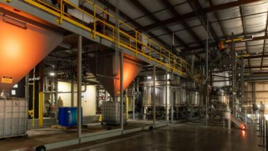 Megan O’Connor’s bold pivot turned waste into opportunity featured image